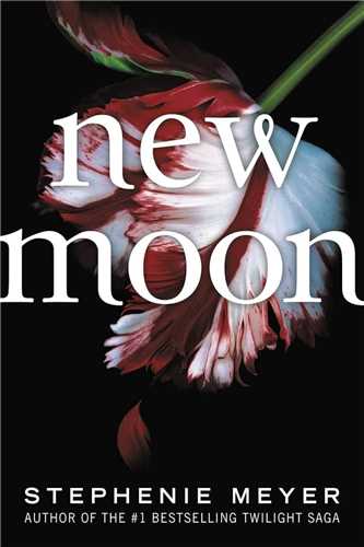 New Moon  ماه نو