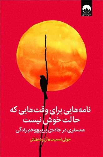 نامه هايي براي وقت هايي که حالت خوش نيست (ميلکان)