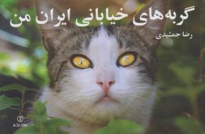 گربه های خیابانی ایران من